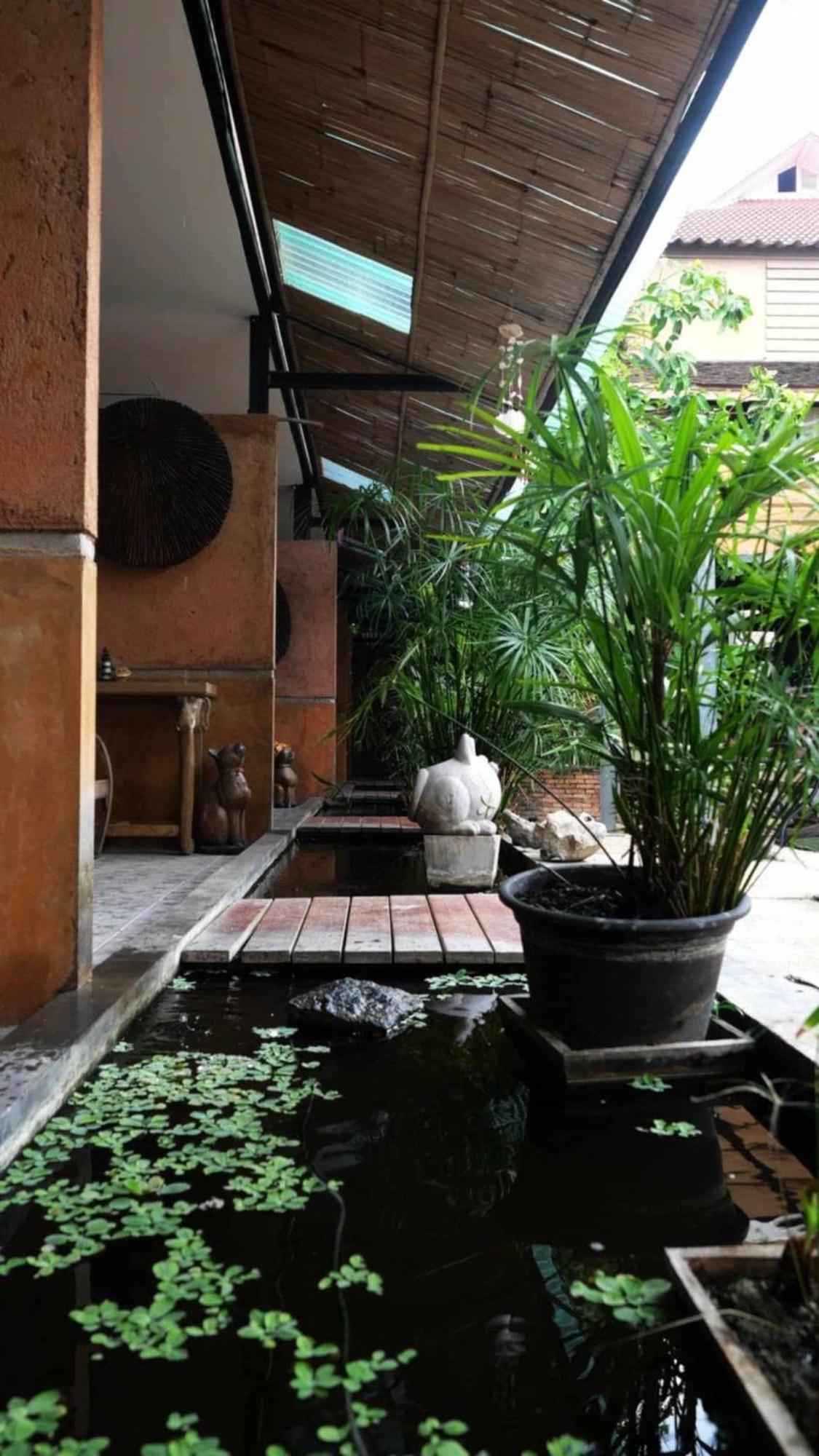 Koko Palm Inn Chiang Mai Exterior photo