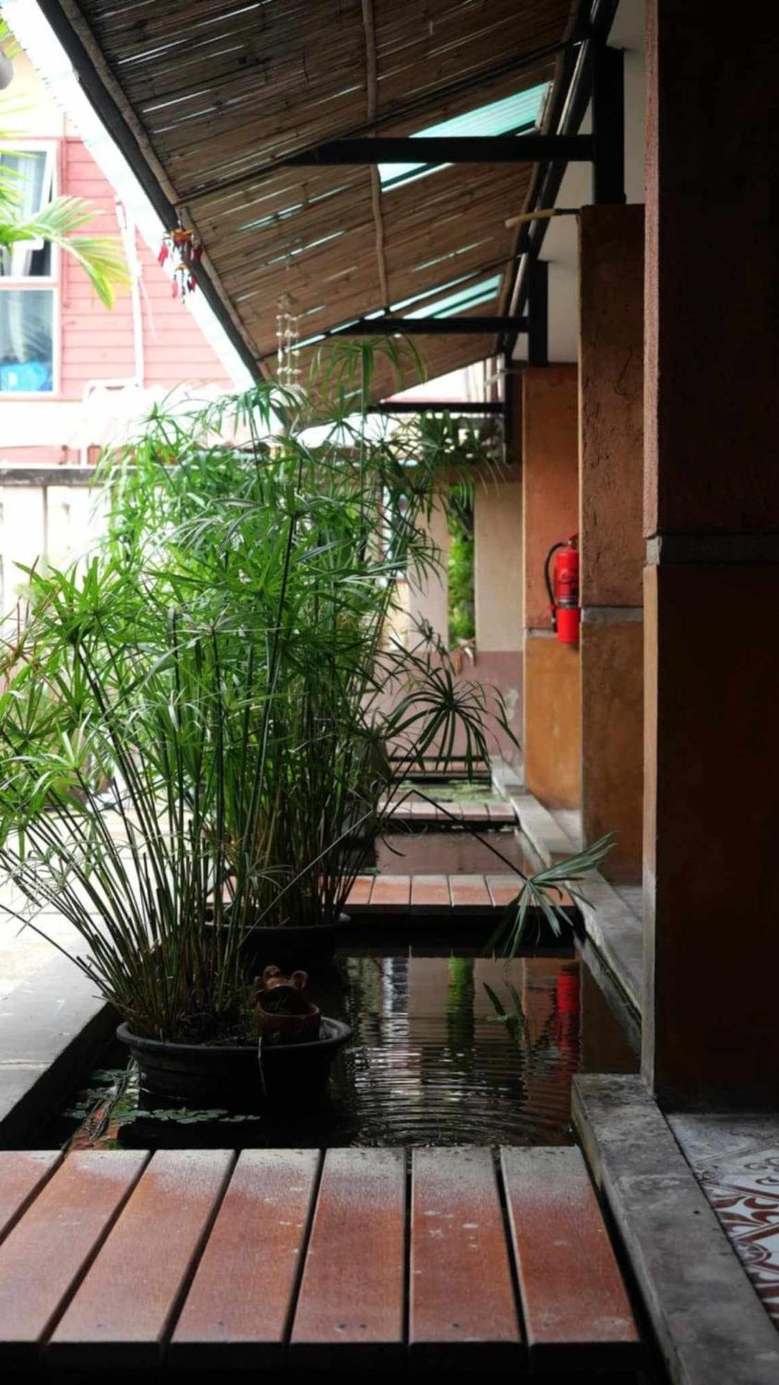 Koko Palm Inn Chiang Mai Exterior photo